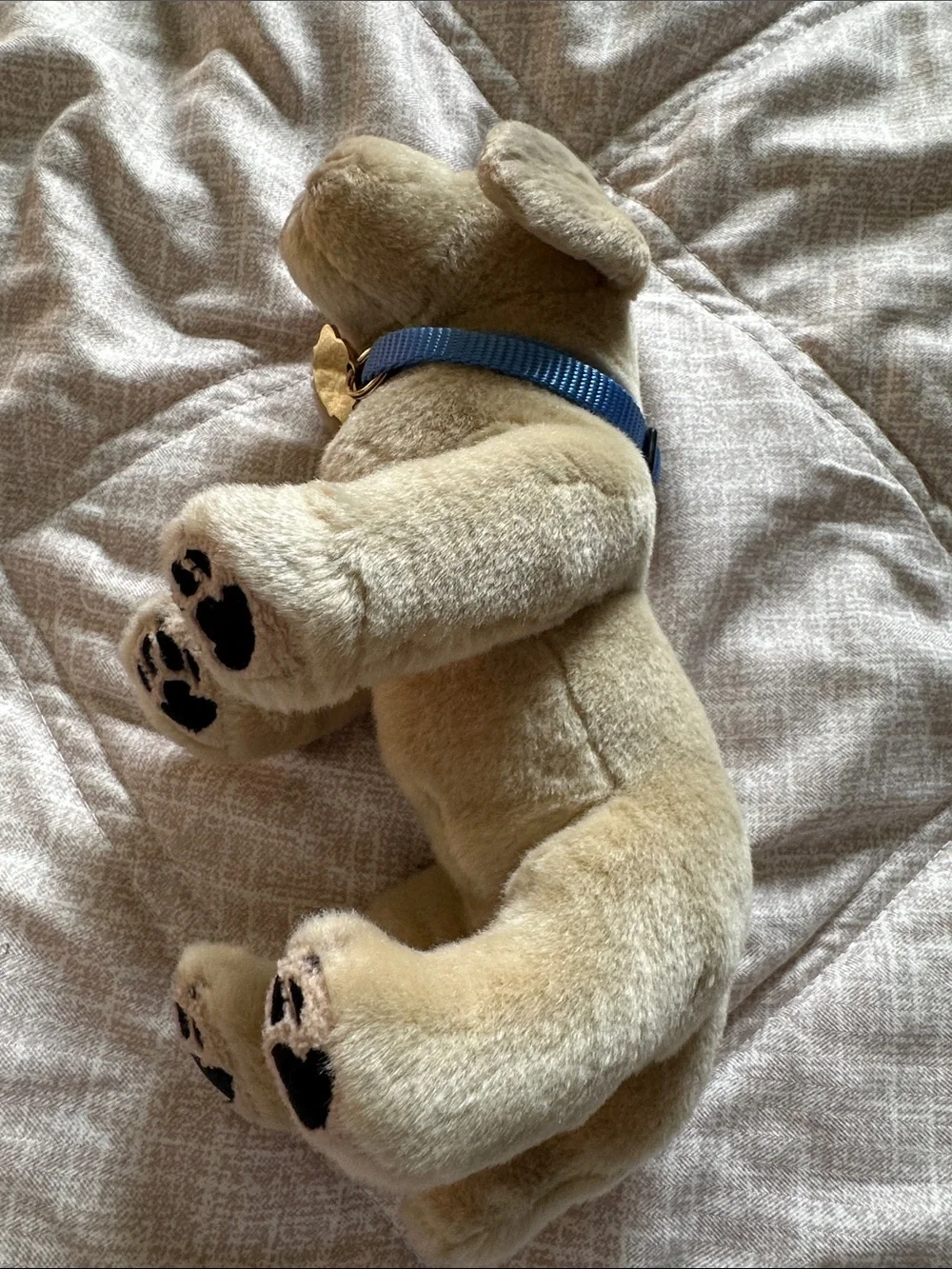 Plush Cream Puppy Stuffed Animal with Blue Collar